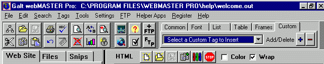 webmasterpro.gif (13362 bytes)